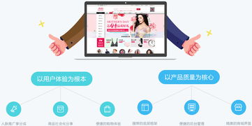 b2b2c解決方案 解決方案 電商系統(tǒng)開發(fā) app定制開發(fā) 小程序開發(fā) 網站建設 愛維時空