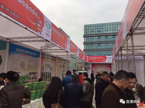 官方都在喊你備年貨了，新年還會遠嗎？——ERP系統開發(fā)助力企業(yè)年節(jié)運轉