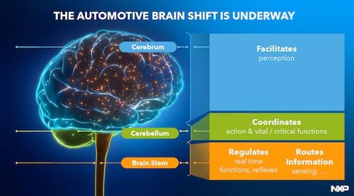 激活運動本能 恩智浦叩響機器人世界之門與ERP系統開發